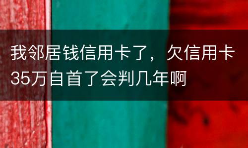 我邻居钱信用卡了，欠信用卡35万自首了会判几年啊