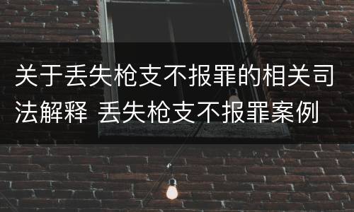 关于丢失枪支不报罪的相关司法解释 丢失枪支不报罪案例