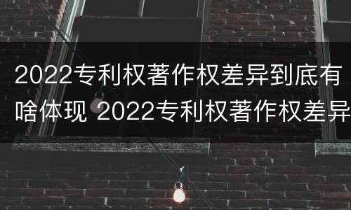 2022专利权著作权差异到底有啥体现 2022专利权著作权差异到底有啥体现呢