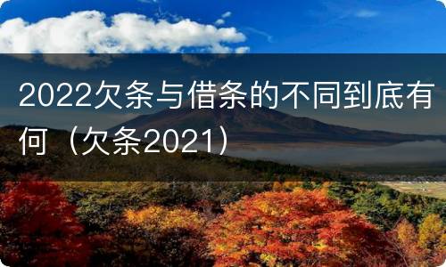 2022欠条与借条的不同到底有何（欠条2021）