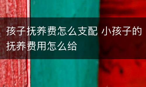 孩子抚养费怎么支配 小孩子的抚养费用怎么给