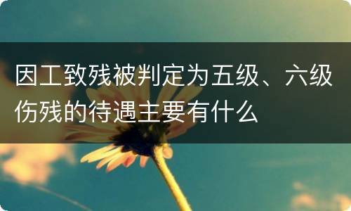 因工致残被判定为五级、六级伤残的待遇主要有什么