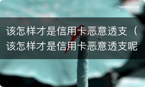 该怎样才是信用卡恶意透支（该怎样才是信用卡恶意透支呢）