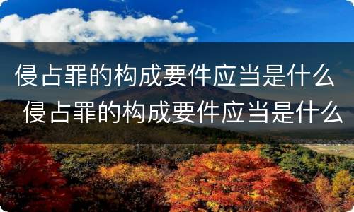 侵占罪的构成要件应当是什么 侵占罪的构成要件应当是什么形式