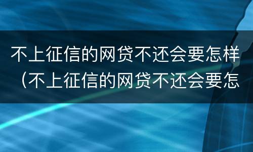 不上征信的网贷不还会要怎样（不上征信的网贷不还会要怎样呢）