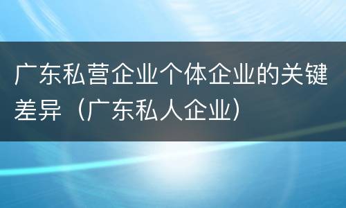 广东私营企业个体企业的关键差异（广东私人企业）