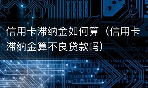 信用卡滞纳金如何算（信用卡滞纳金算不良贷款吗）