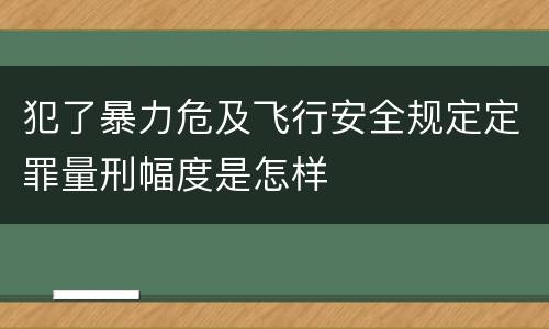 犯了暴力危及飞行安全规定定罪量刑幅度是怎样