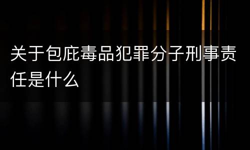 关于包庇毒品犯罪分子刑事责任是什么