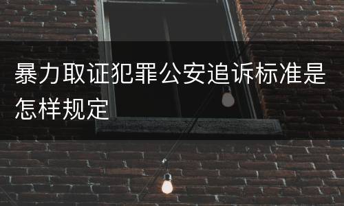 暴力取证犯罪公安追诉标准是怎样规定