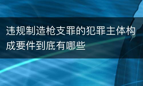 违规制造枪支罪的犯罪主体构成要件到底有哪些