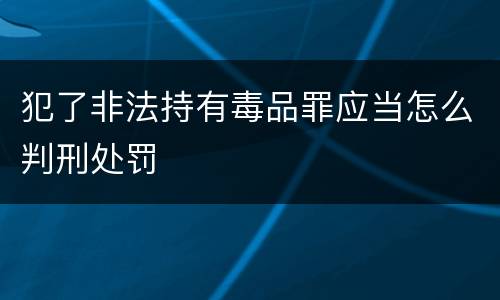 犯了非法持有毒品罪应当怎么判刑处罚