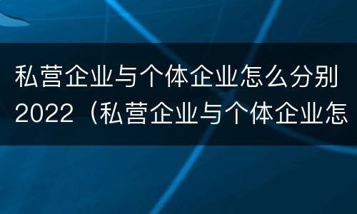 私营企业与个体企业怎么分别2022（私营企业与个体企业怎么分别2022年报税）