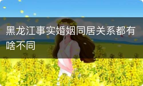 黑龙江事实婚姻同居关系都有啥不同