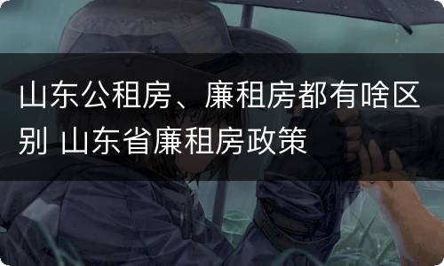 山东公租房、廉租房都有啥区别 山东省廉租房政策