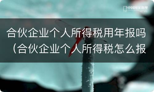 合伙企业个人所得税用年报吗（合伙企业个人所得税怎么报）