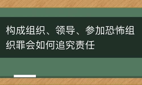 构成组织、领导、参加恐怖组织罪会如何追究责任