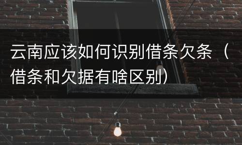 云南应该如何识别借条欠条（借条和欠据有啥区别）