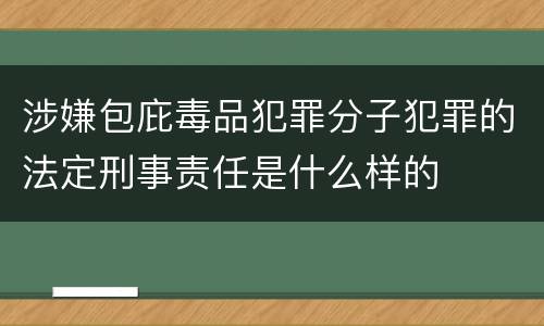 涉嫌包庇毒品犯罪分子犯罪的法定刑事责任是什么样的