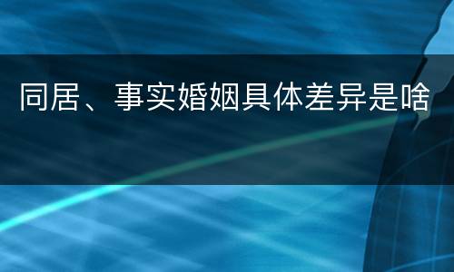 同居、事实婚姻具体差异是啥