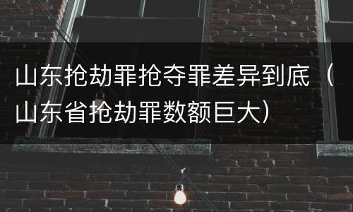 山东抢劫罪抢夺罪差异到底（山东省抢劫罪数额巨大）