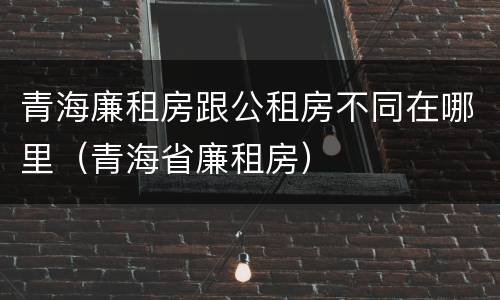 青海廉租房跟公租房不同在哪里（青海省廉租房）