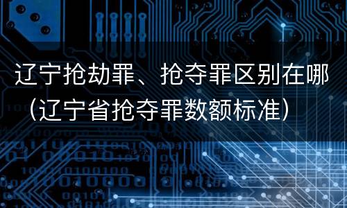 辽宁抢劫罪、抢夺罪区别在哪（辽宁省抢夺罪数额标准）