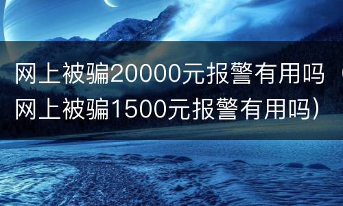 网上被骗20000元报警有用吗（网上被骗1500元报警有用吗）