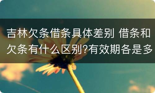 吉林欠条借条具体差别 借条和欠条有什么区别?有效期各是多少?