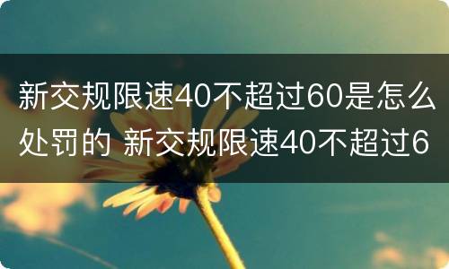 新交规限速40不超过60是怎么处罚的 新交规限速40不超过60是怎么处罚的规定