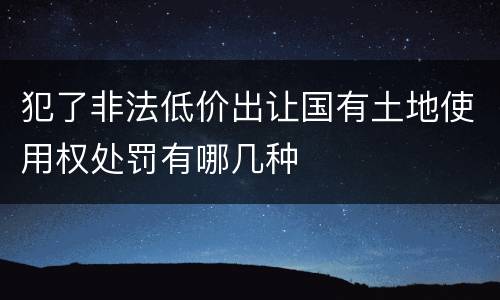 犯了非法低价出让国有土地使用权处罚有哪几种