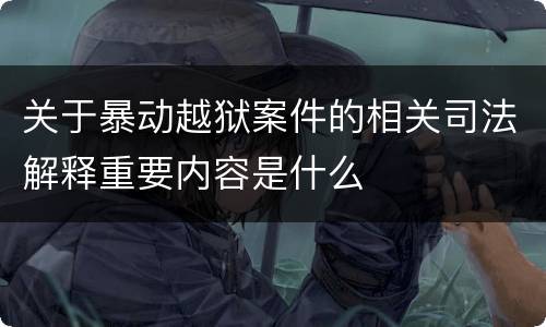 关于暴动越狱案件的相关司法解释重要内容是什么