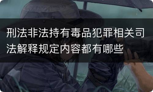 刑法非法持有毒品犯罪相关司法解释规定内容都有哪些