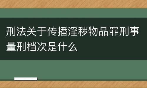 刑法关于传播淫秽物品罪刑事量刑档次是什么