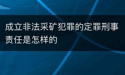 成立非法采矿犯罪的定罪刑事责任是怎样的