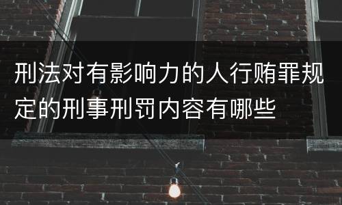 刑法对有影响力的人行贿罪规定的刑事刑罚内容有哪些