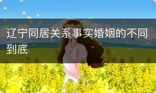 辽宁同居关系事实婚姻的不同到底