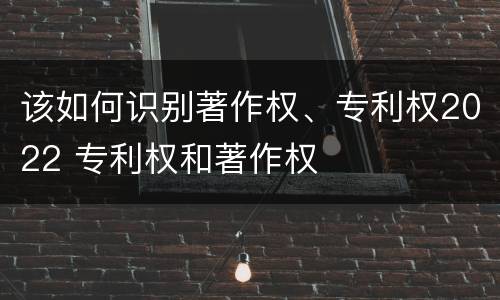 该如何识别著作权、专利权2022 专利权和著作权