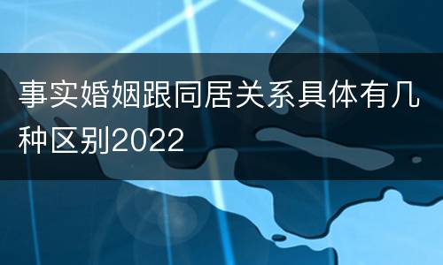 事实婚姻跟同居关系具体有几种区别2022