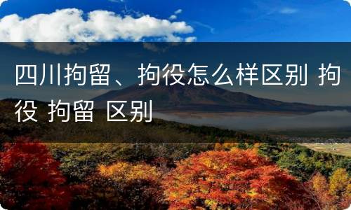 四川拘留、拘役怎么样区别 拘役 拘留 区别