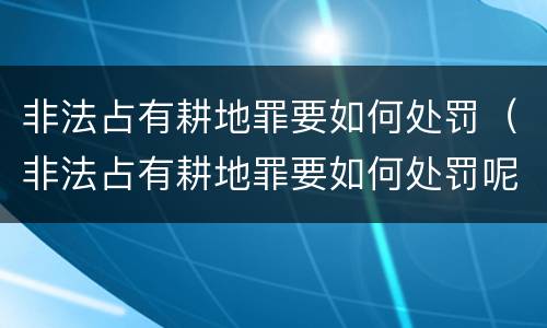 非法占有耕地罪要如何处罚（非法占有耕地罪要如何处罚呢）