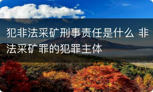 犯非法采矿刑事责任是什么 非法采矿罪的犯罪主体