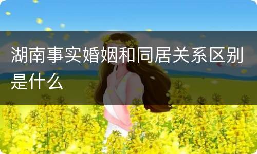 湖南事实婚姻和同居关系区别是什么