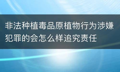 非法种植毒品原植物行为涉嫌犯罪的会怎么样追究责任