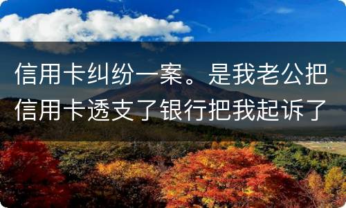 信用卡纠纷一案。是我老公把信用卡透支了银行把我起诉了