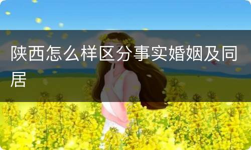 陕西怎么样区分事实婚姻及同居