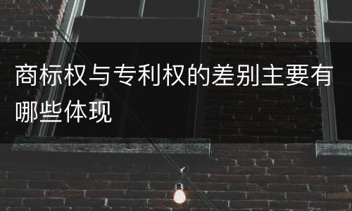 商标权与专利权的差别主要有哪些体现