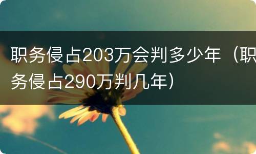 职务侵占203万会判多少年（职务侵占290万判几年）