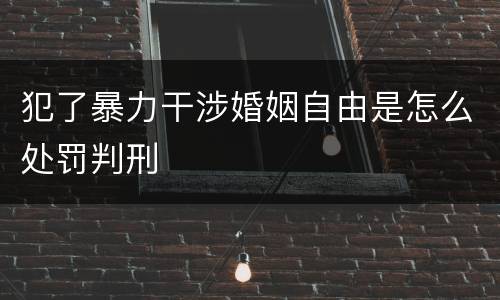 犯了暴力干涉婚姻自由是怎么处罚判刑