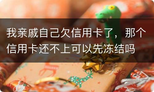 我亲戚自己欠信用卡了，那个信用卡还不上可以先冻结吗